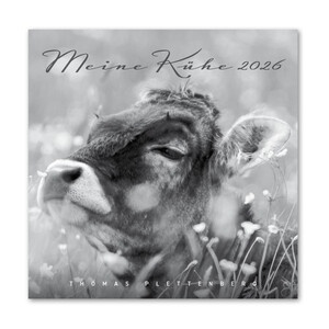 MEINE KHE 2026