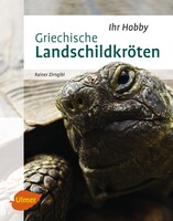 Griechische Landschildkrten