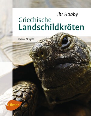 Griechische Landschildkrten