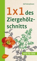 1 x 1 des Ziergehlzschnitts