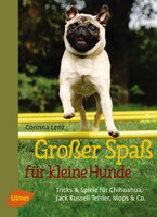 Groer Spa fr kleine Hunde