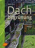 Dachbegrnung