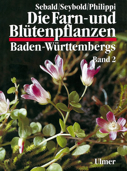 goldfruchtpalme vermehren Goldfruchtpalme - Dypsis lutescens