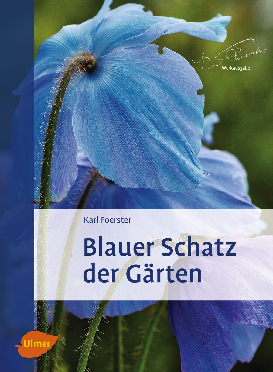 Hier wächst nichts Verlag Eugen Ulmer Bücher & Zeitschriften für