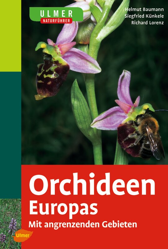 Ulmer Naturfhrer Orchideen Europas