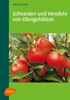 Schneiden und Veredeln von Obstgehlzen