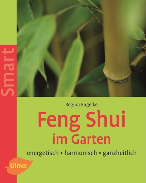 monstera deliciosa kaufen Fensterblatt Monstera deliciosa kaufen | 140 cm