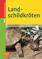 Landschildkrten