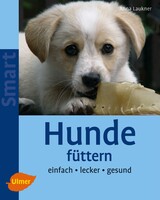 Hunde fttern