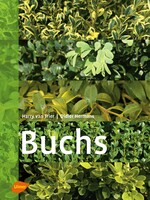 Buchs
