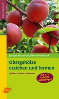 Obstgehlze erziehen und formen