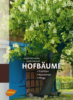 Hofbume