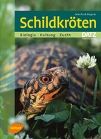 Schildkrten