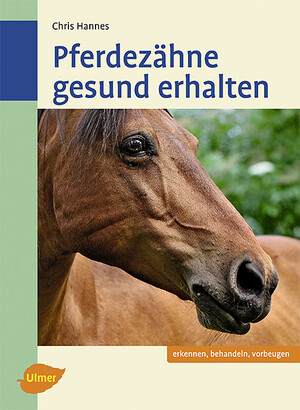 Pferdezhne gesund erhalten