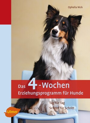 Das 4-Wochen Erziehungsprogramm fr Hunde