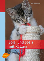 Spiel und Spa mit Katzen