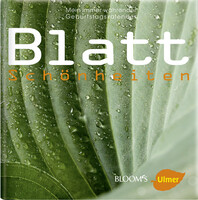 BlattSchnheiten