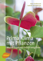 Prima Klima mit Pflanzen