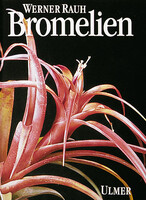 Bromelien