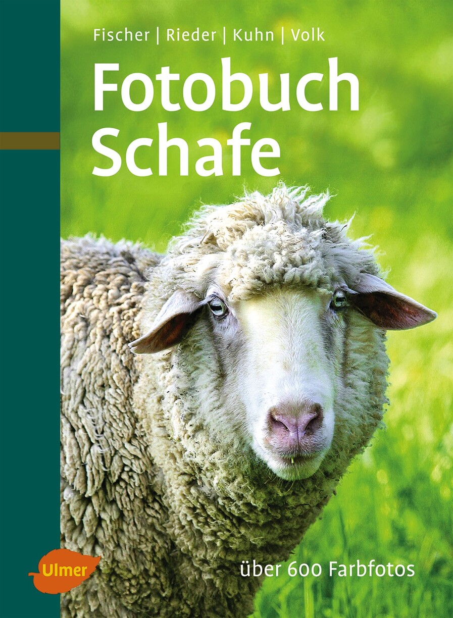 Der Gärtner 5. Fachrechnen Verlag Eugen Ulmer Bücher & Zeitschriften