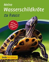 Meine Wasserschildkrte zu Hause
