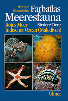 Farbatlas Meeresfauna - Niedere Tiere