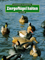 Ziergeflgel halten