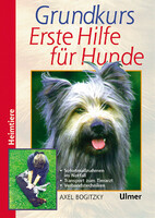 Grundkurs Erste Hilfe fr Hunde