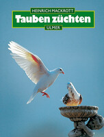 Tauben zchten