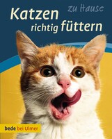 Katzen richtig fttern