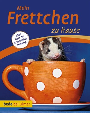 Mein Frettchen zu Hause