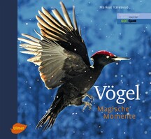 Vgel - Magische Momente