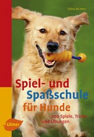 Spiel- und Spaschule fr Hunde
