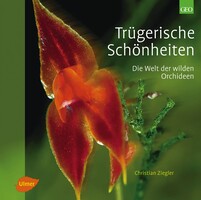 Trgerische Schnheiten