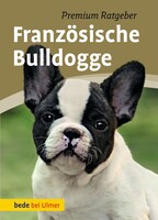 Franzsische Bulldogge