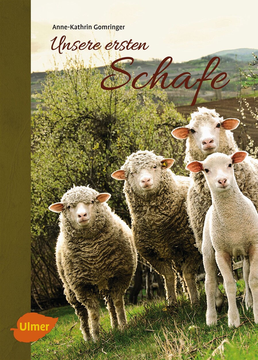 Der Gärtner 5. Fachrechnen Verlag Eugen Ulmer Bücher & Zeitschriften
