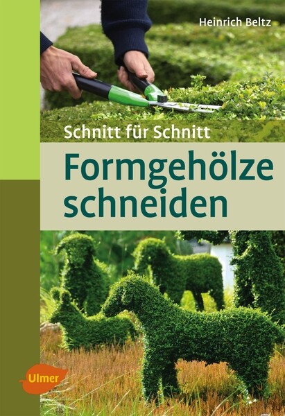 welche erde für goldfruchtpalme Goldfruchtpalme kaufen | Areca lutescens main image 0