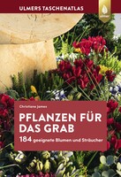 Pflanzen fr das Grab
