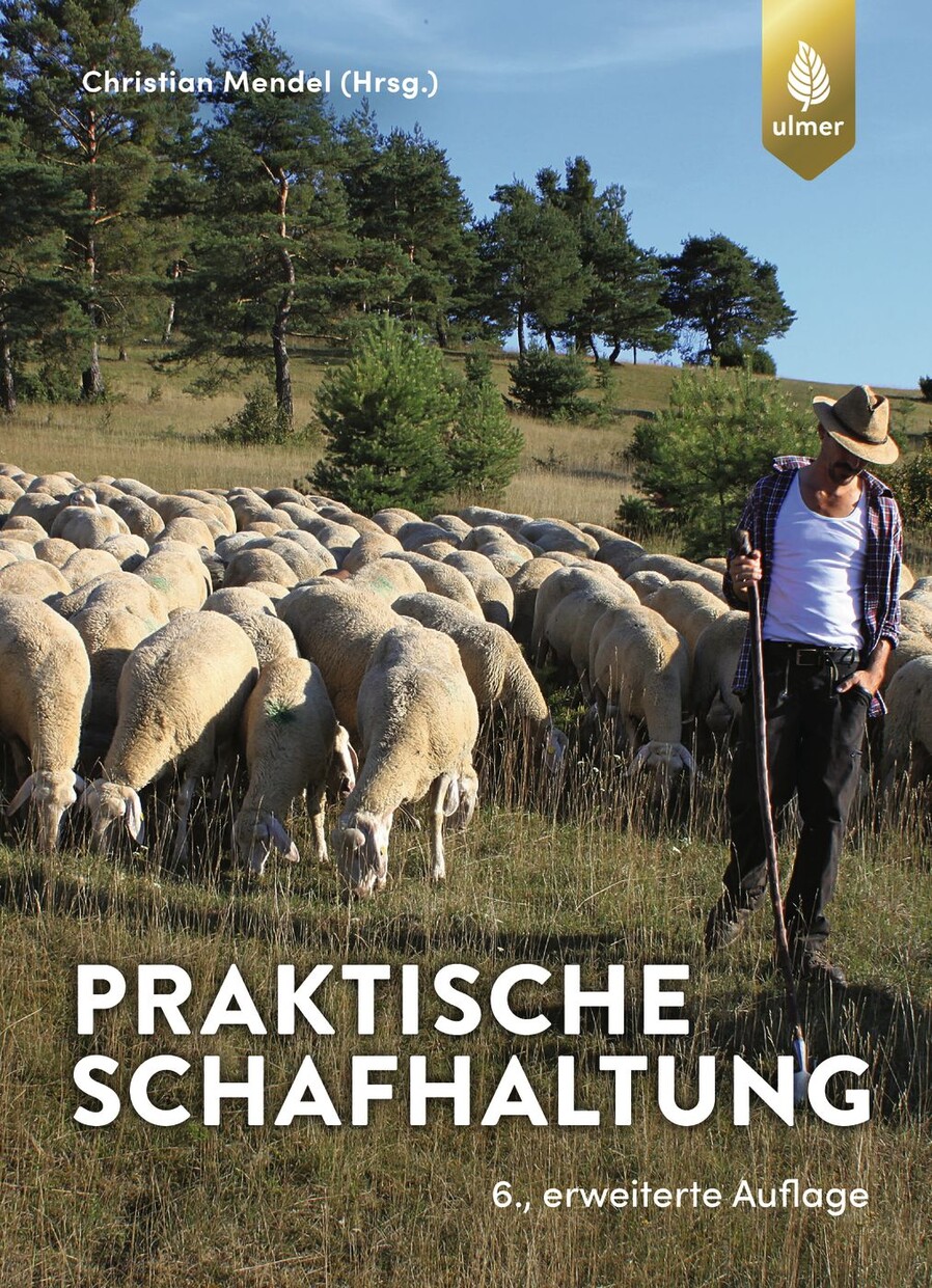 Der Gärtner 5. Fachrechnen Verlag Eugen Ulmer Bücher & Zeitschriften