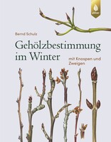 Gehlzbestimmung im Winter