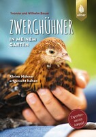 Zwerghhner in meinem Garten