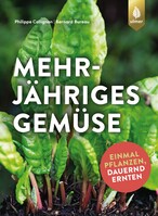 Mehrjhriges Gemse
