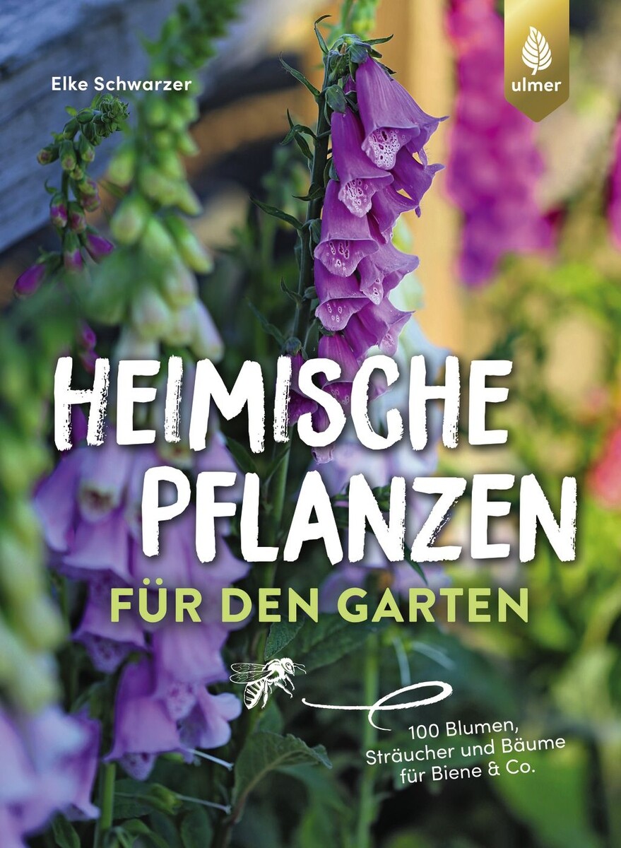Heimische Pflanzen fr den Garten - Verlag Eugen Ulmer