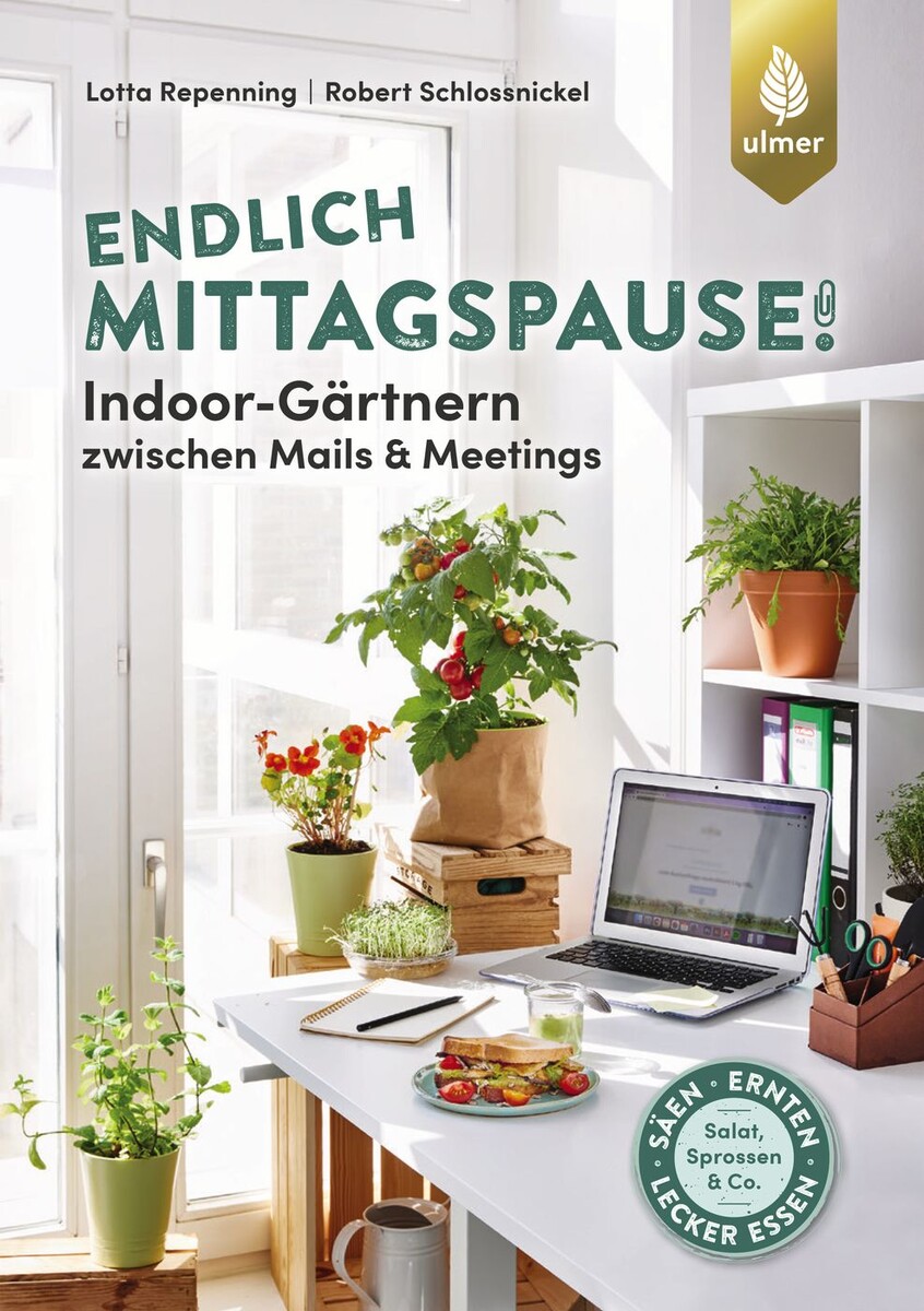 Endlich Mittagspause! zwischen Mails und Meetings mit