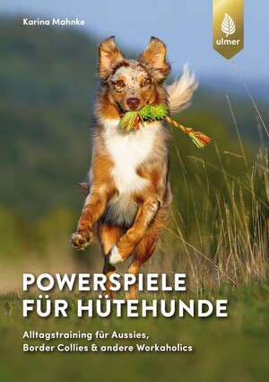 Powerspiele fr Htehunde