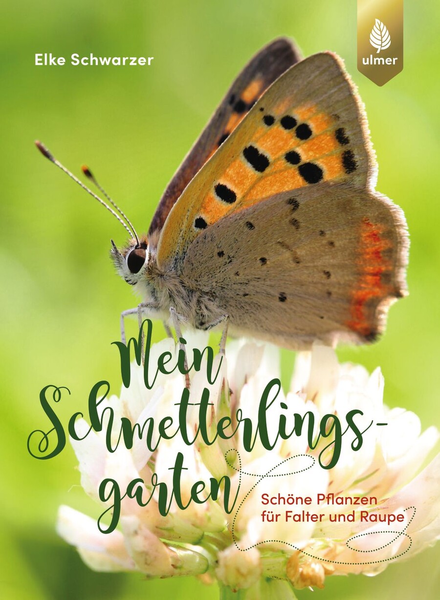 Zeisige, Girlitze: Und andere Finkenvögel von … | Studibuch