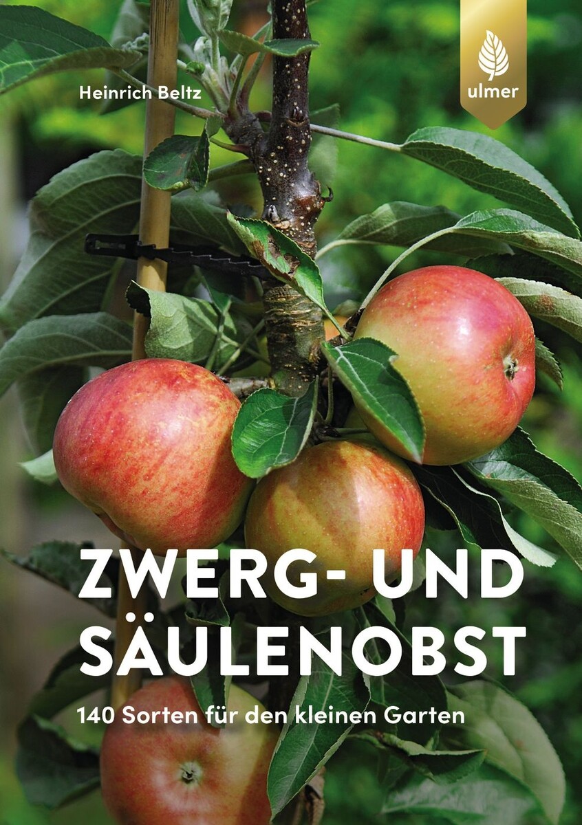 bambus düngen frühjahr Bambus Dünger Flora Boost für gesunde und prächtige Bambuspflanzen main image 1