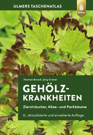 Gehlzkrankheiten