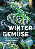 Wintergemse