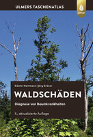 Waldschden